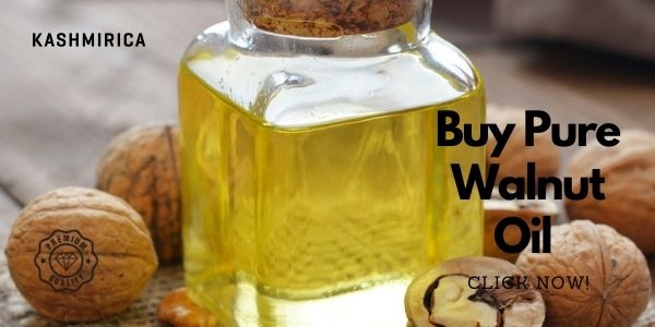 Top 10 Digital Marketing Agencies In Canada 2