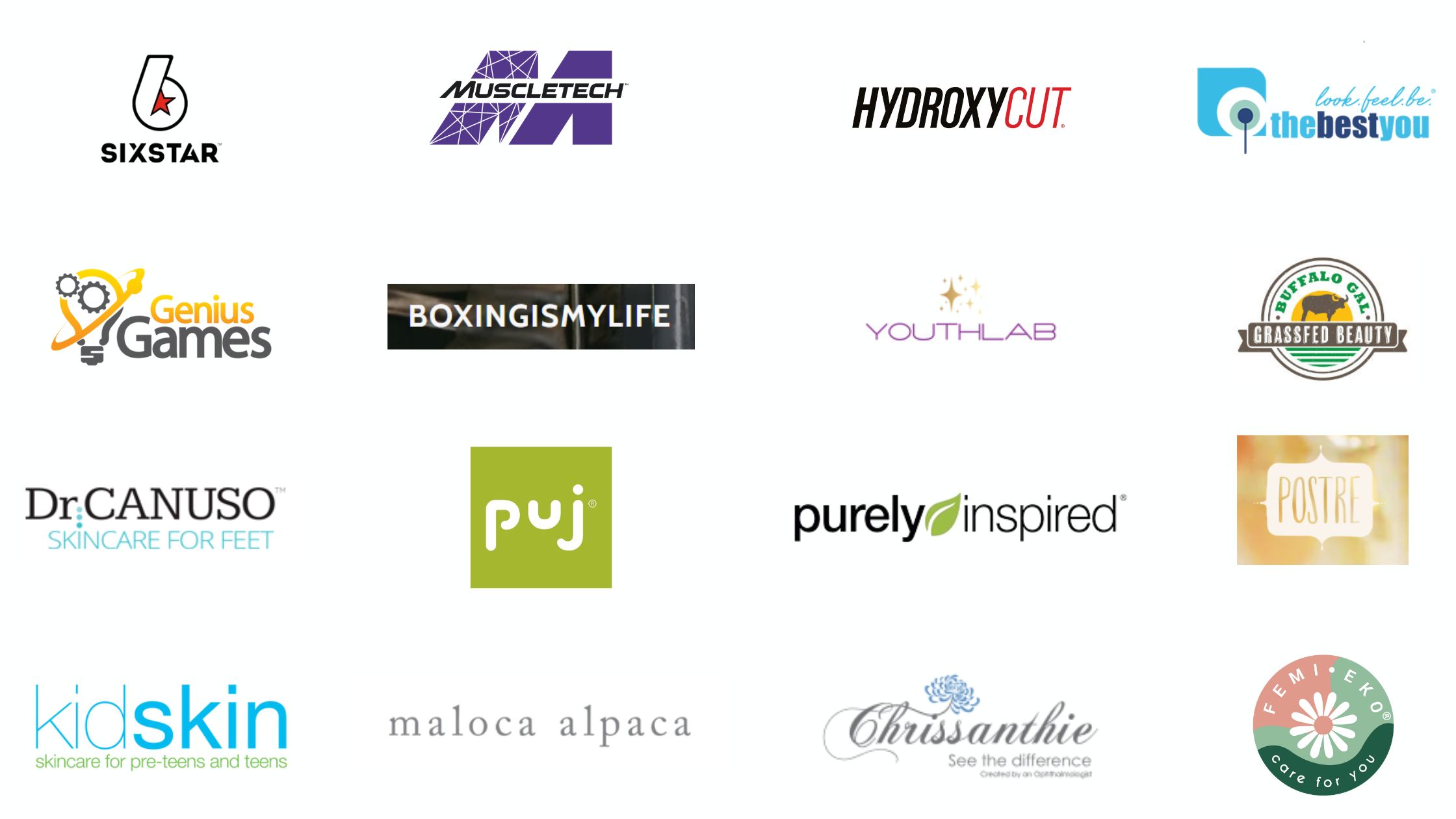 Mir Saeid - Brands Worked For